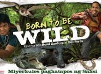 Born To Be Wild July 28 2024